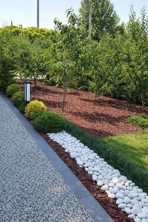 Gartenanlage mit Bäumen, Sträuchern, Kiesweg und weisser Steinumrandung.